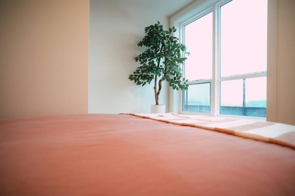 Chic Cozy Retreat - 2br - Stunning North End Views Halifax